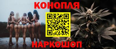 крисы Будённовск