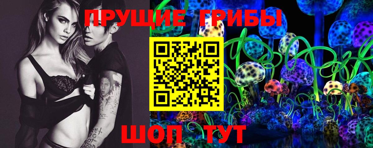 Псилоцибиновые грибы Psilocybine cubensis Спасск-Дальний