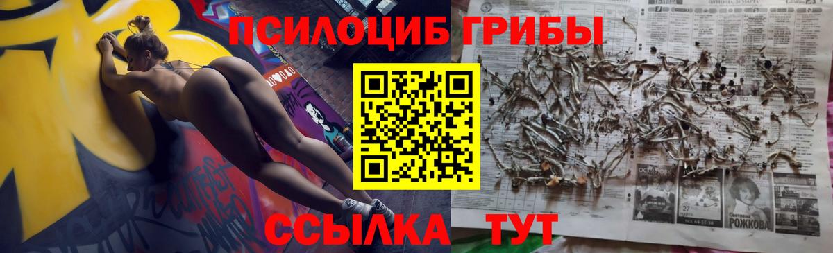 Спасск-Дальний  Галлюциногенные грибы MAGIC MUSHROOMS  Вход с VPN  Псилоцибиновые грибы ЛСД 